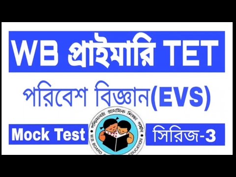 evs questions for bba mcq